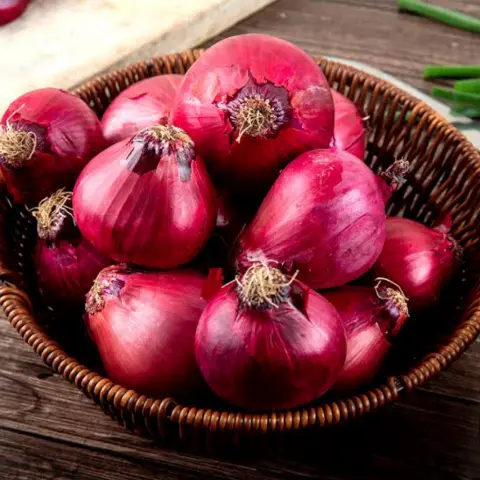 Onion (Pyaz)