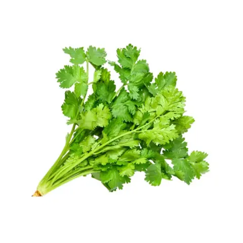 Coriander Bunch (Dhaniya Patta)