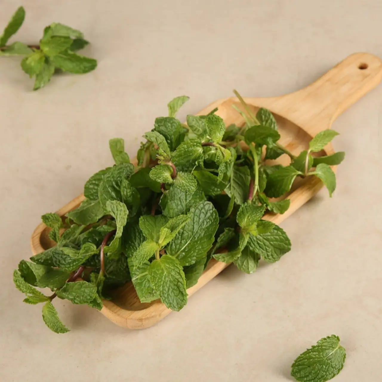 Mint Leaves (Without Roots) (Pudina)