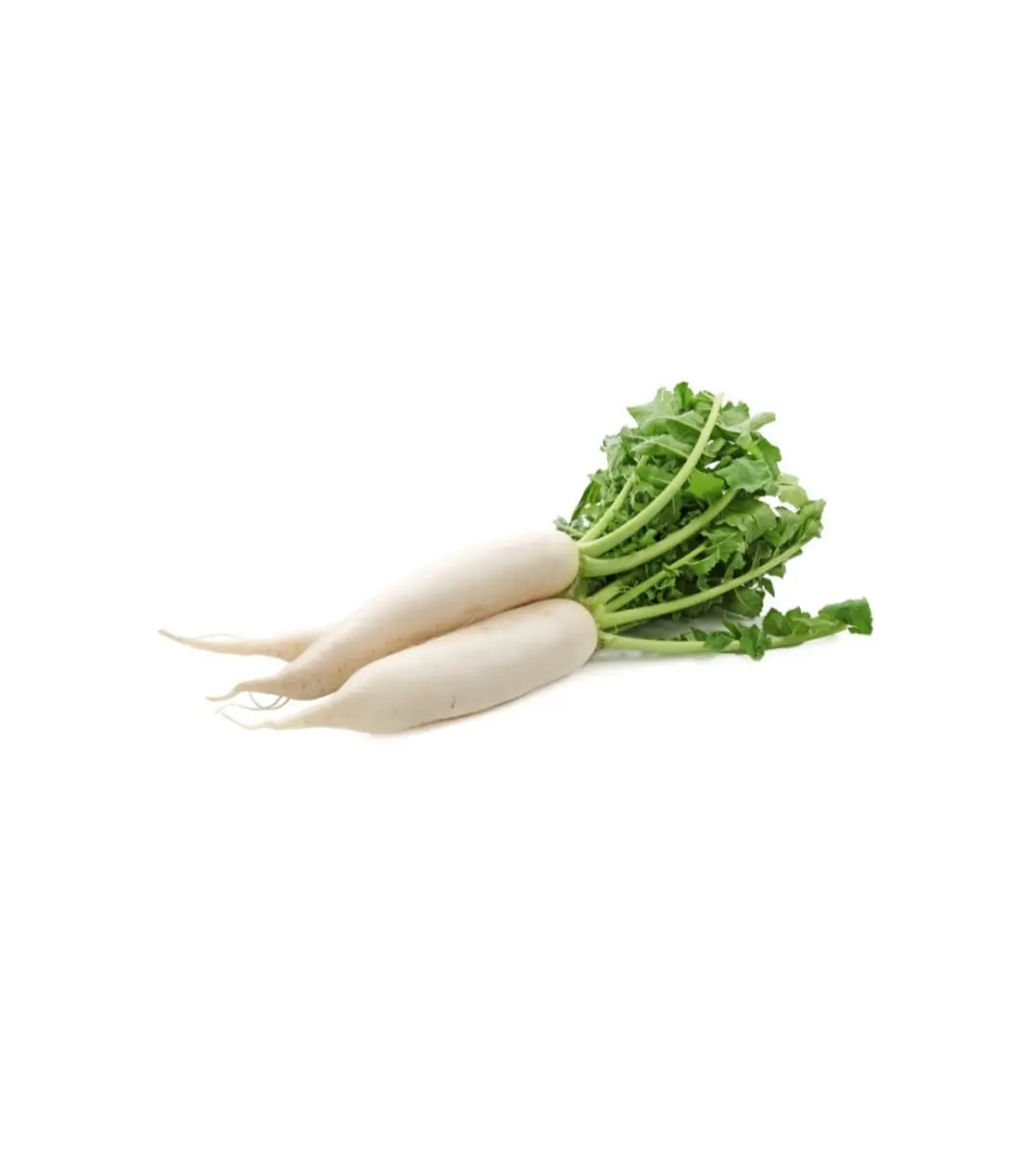 Radish (Mooli)