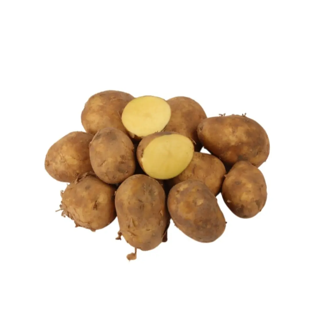 New - Potato (Aloo)