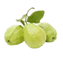 Guava