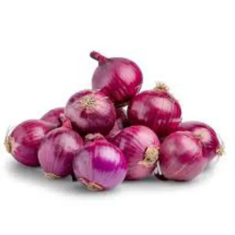 Onion (Pyaz)