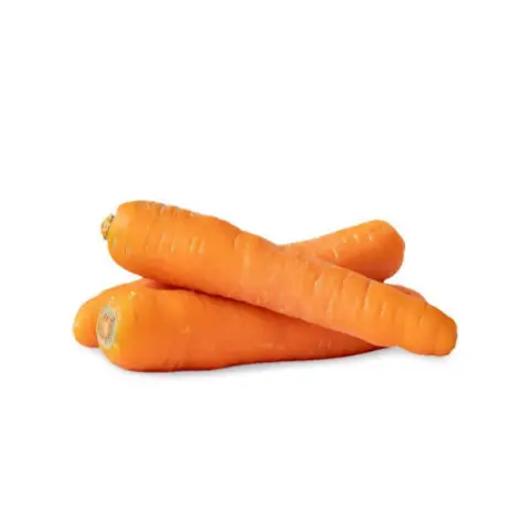 Orange Carrot