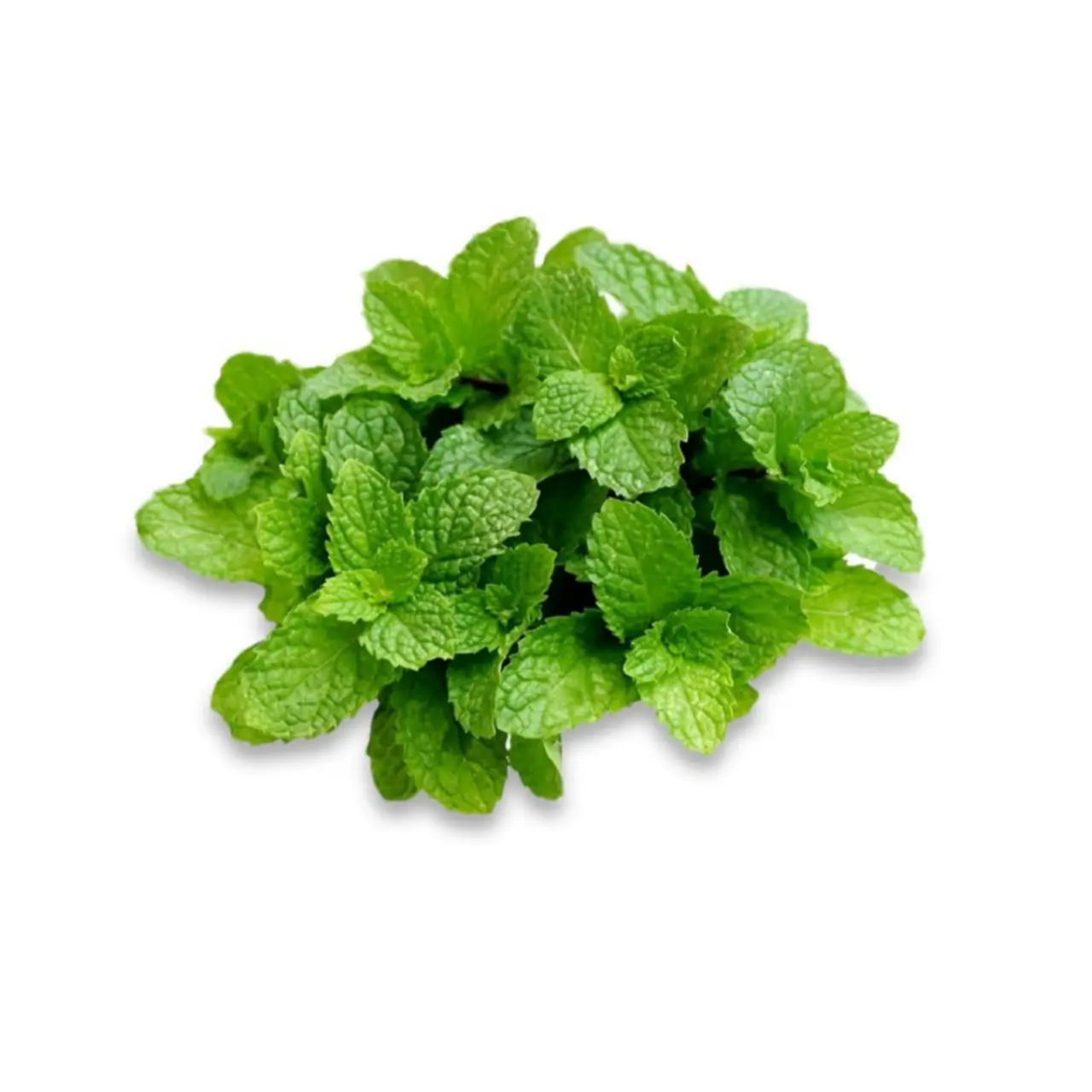 Mint Leaves (Without Roots) (Pudina)