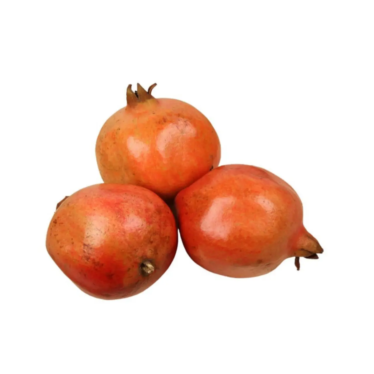 Pomegranate-Medium 